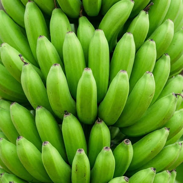 Banana (G9 Cavendish)